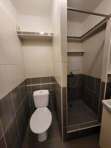 Prenájom 1 iz.byt,30 m2 + veľká loggia, kom.rek.,Dubnica