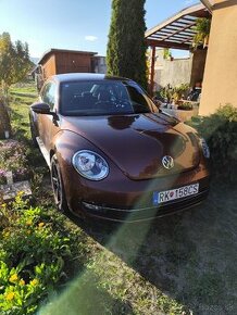 VW Beetle - 1