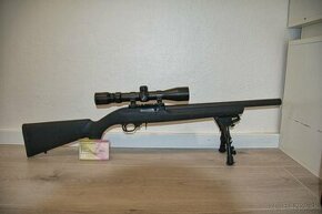 .22 long rifle Ruger 10/22