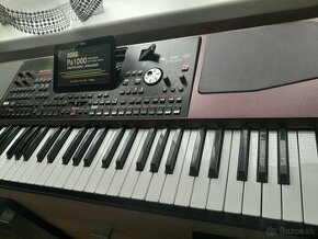 Korg pa1000  muzikant top