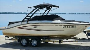 SEA RAY 19 SPX