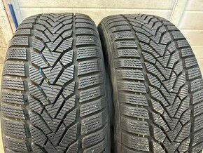 225/50R17 Zimne - 1