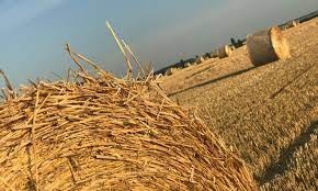 ZABEHNUTÁ FARMA NA JUHU STREDNÉHO SLOVENSKA