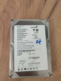 HDD 80 GB disk