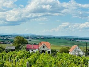 ZNÍŽENÁ CENA  vinohradnícky dom v obci Prietržka,okr.Skalica