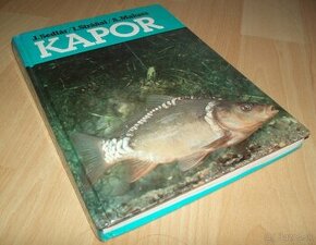 Kapor