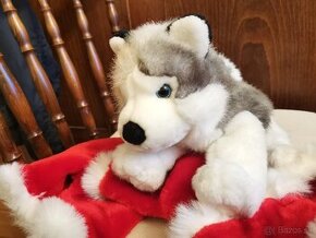 Plyšový husky (Anna club plush)