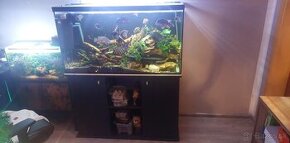 Akvarium 300litrove + stolik