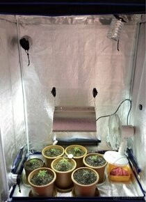 Growbox na pestovanie rastlín - 250W SODÍK