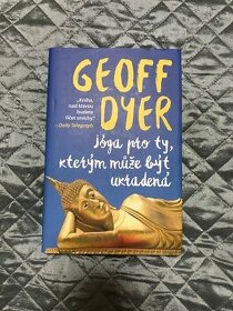 Jóga pro ty, kterým může být ukradená - Geoff Dyer