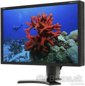 22" NEC MultiSync P221W