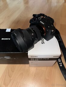 Sony Alpha A7 IV + Sigma lens 24-70mm