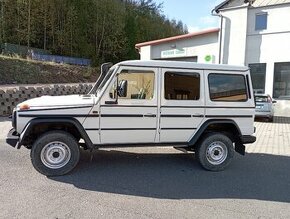 Mercedes Benz G300 CDI - 1