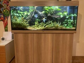 REZERVOVANE Akvarium Juwel Rio 240 l - 1