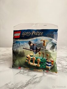 LEGO® Harry Potter 30651 Famfrpálový tréning (polybag)