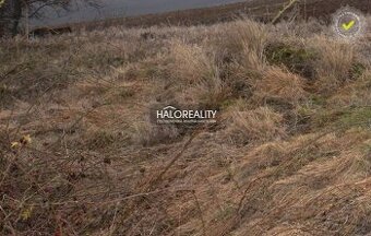 HALO reality - Predaj, pozemok pre rodinný dom   887 m2 Tepl