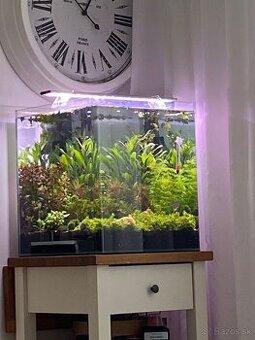 Dennerle Nano Cube 60l