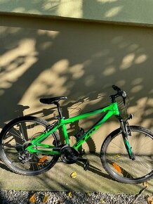 Bicykel CTM Terrano 1.0