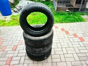 205/55 r16 zimné