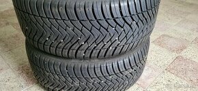 225/50R17 98W Triangle Season X TA01 celoročné