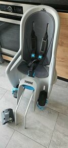 THULE RideAlong Light Grey