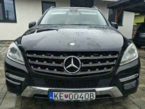 Mercedes ML250 Cdi 4Matic