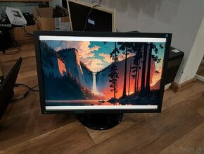 Eizo Flexscan S2243W 22" - 1