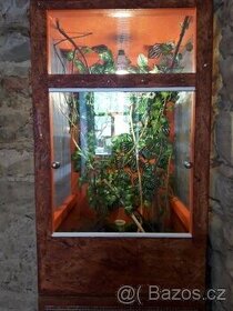 Nové terarium 100x50x50cm pro chameleona