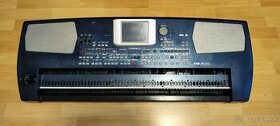 Diely, KORG PA 500