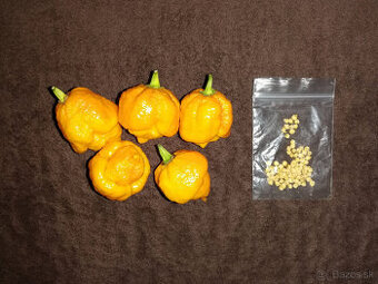 Moruga Scorpion, Ring Of Fire, Satan's Kiss - 1