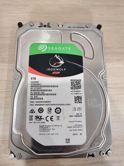 Seagate IronWolf 6 TB NAS