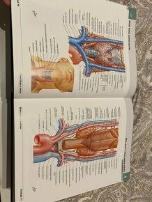 Netterov anatomický atlas človeka