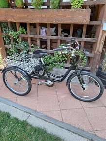 Etrojkolka , Elektrobicykel  , Ebike