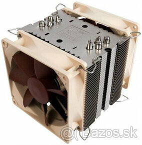 Noctua - 1