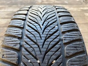 225/50R17 98V Sava eskimo hp