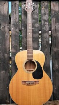 Gitara Takamine G series