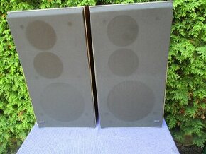 Bang & Olufsen Beovox S45-2