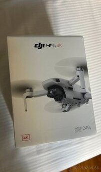 DJI Mini 4K