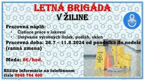 LETNÁ BRIGÁDA - čistiace práce