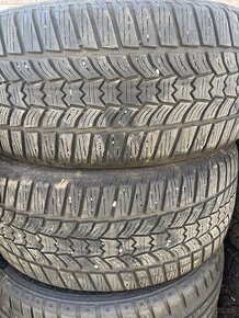 225/45 R17 Zimné