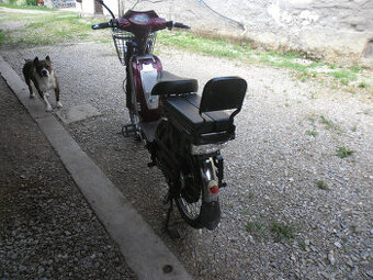 ELEKTRO MOPED