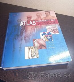 Atlas lidského těla v obrazech - 1