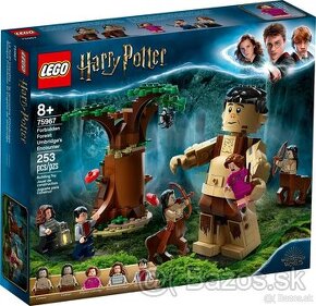 LEGO 75967 HARRY POTTER - Zakázaný les Umbridge