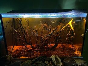 blackwater bioaktívne akvárium