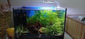 12l akvarium