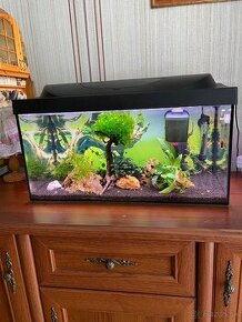 63l.akvarium+Krevetky ???? caridiny KEZMAROK