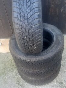 Celoročné pneu Nexen 195/65 R15