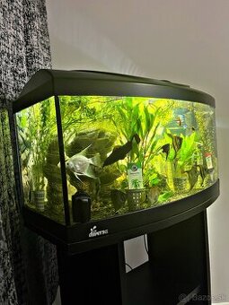 Predám LED akvárium Diversa 54L - 1