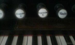 Harmonium Paikr