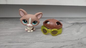 LPS littlest pet shop corgi #1864